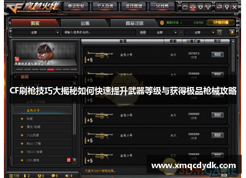 CF刷枪技巧大揭秘如何快速提升武器等级与获得极品枪械攻略