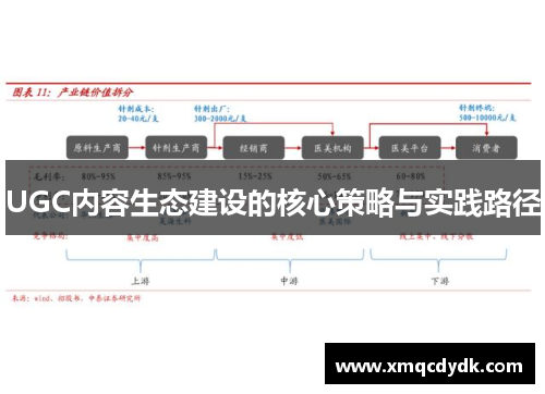 UGC内容生态建设的核心策略与实践路径